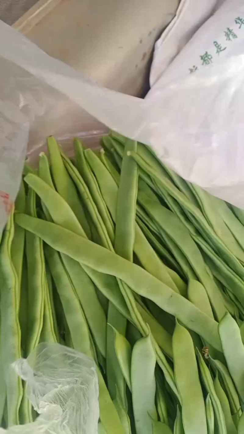 扁青芸豆