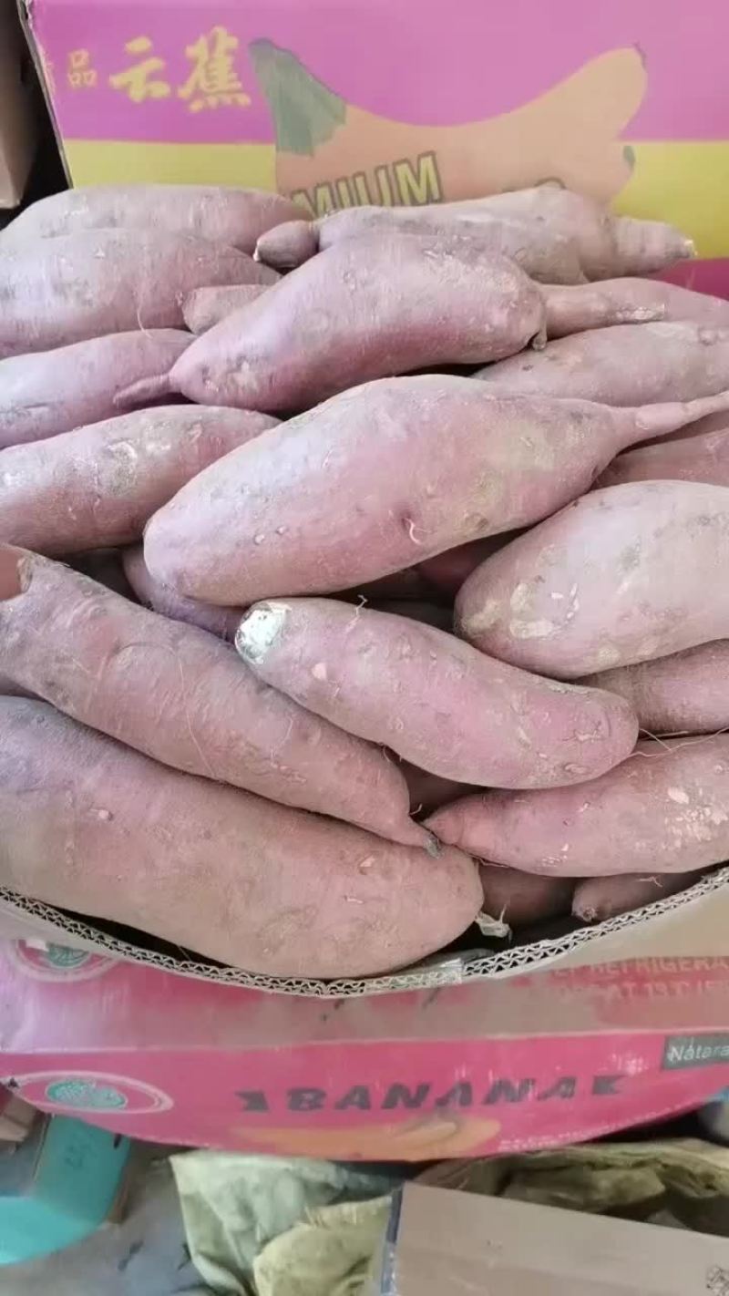山西忻州红薯-哈密红薯产地直发一手货源支持代发代购欢迎联系