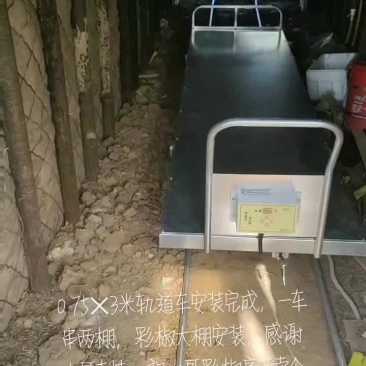 大棚轨道车