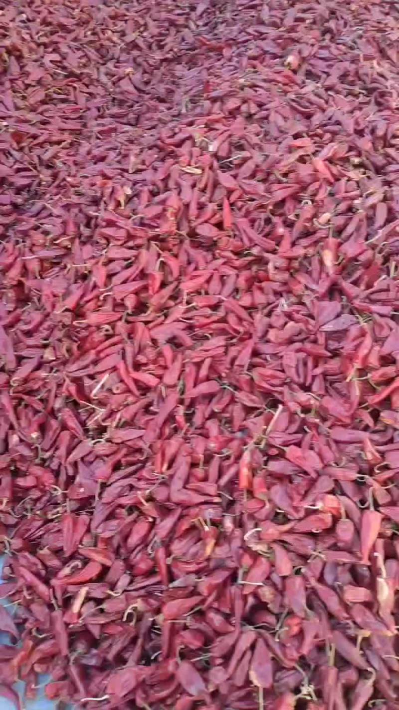 北京红辣椒