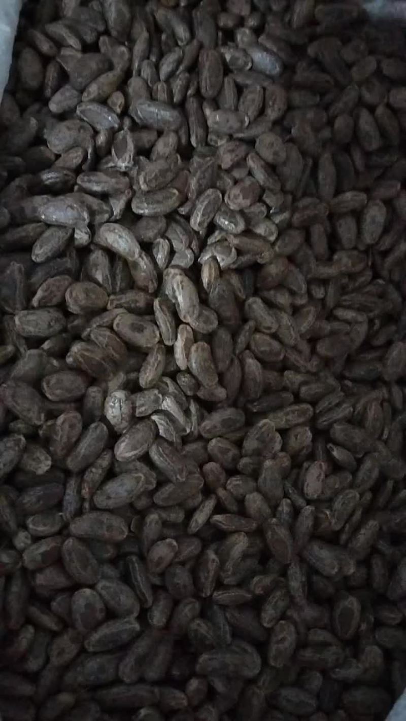 吊瓜子