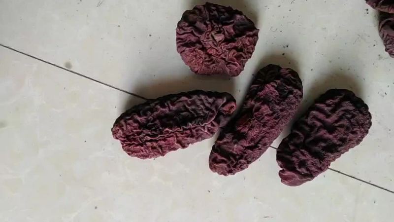 药用木瓜好货