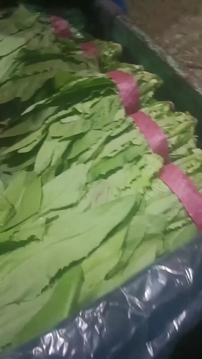 油麦