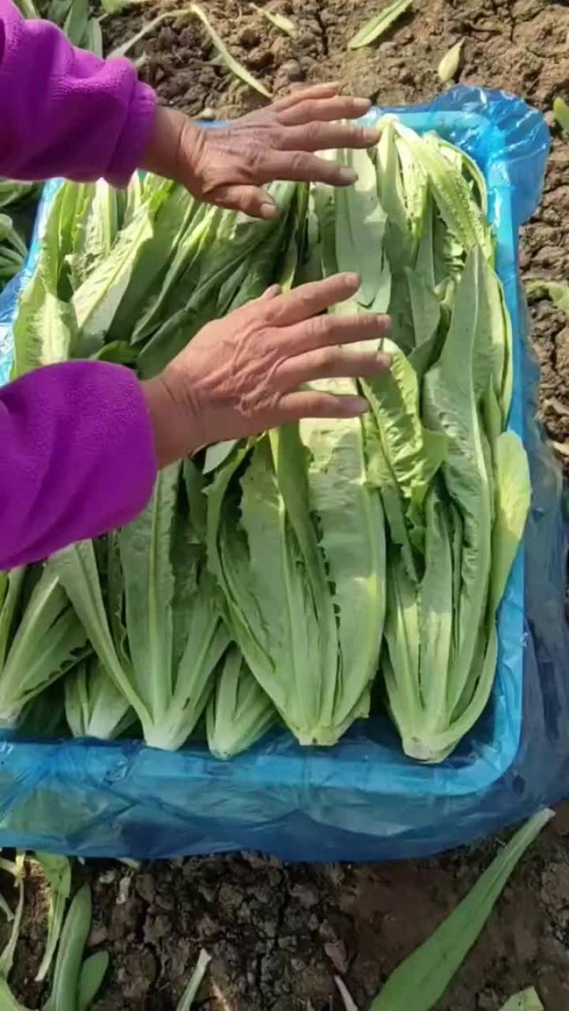 油麦