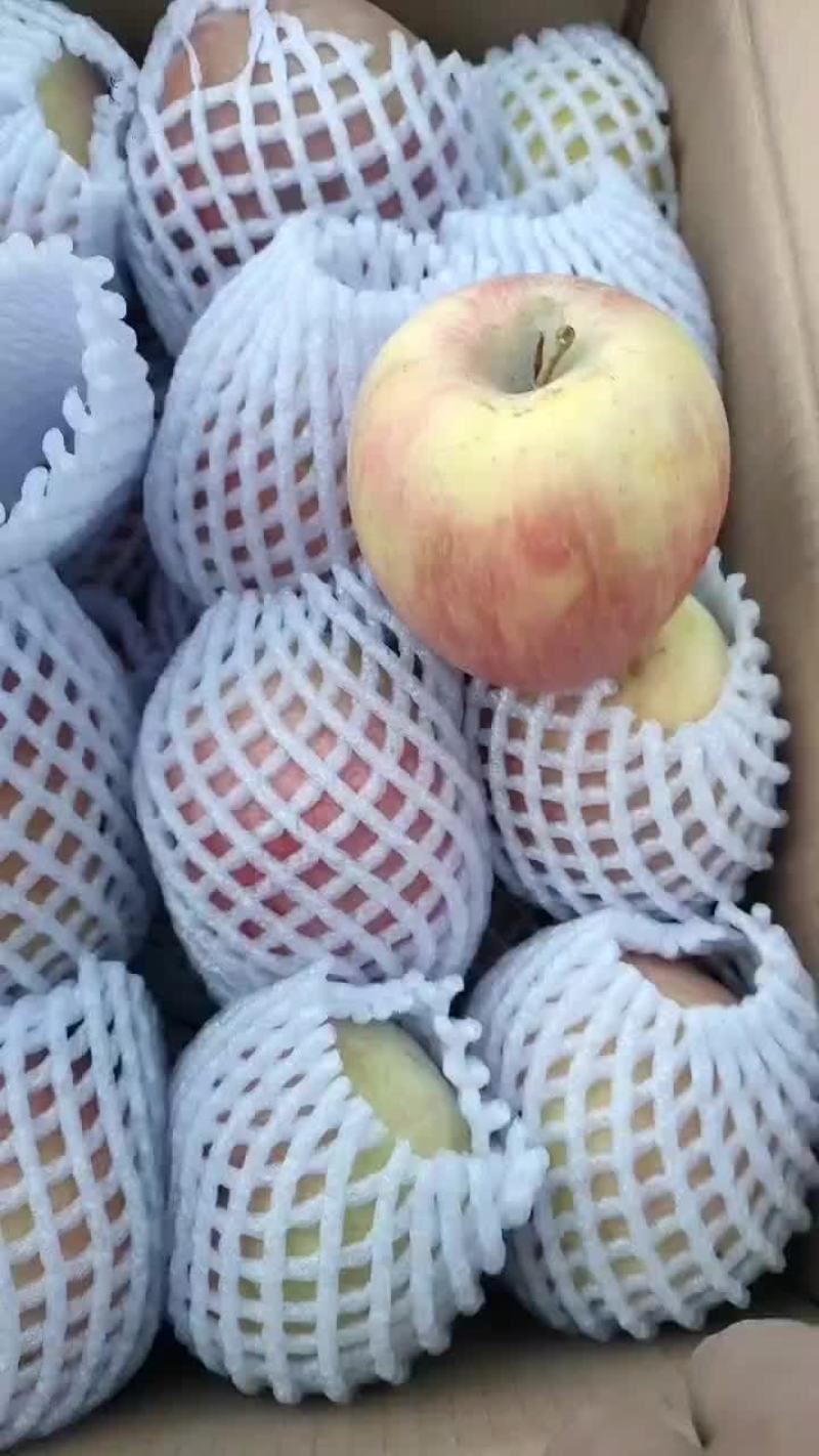 新疆阿克苏