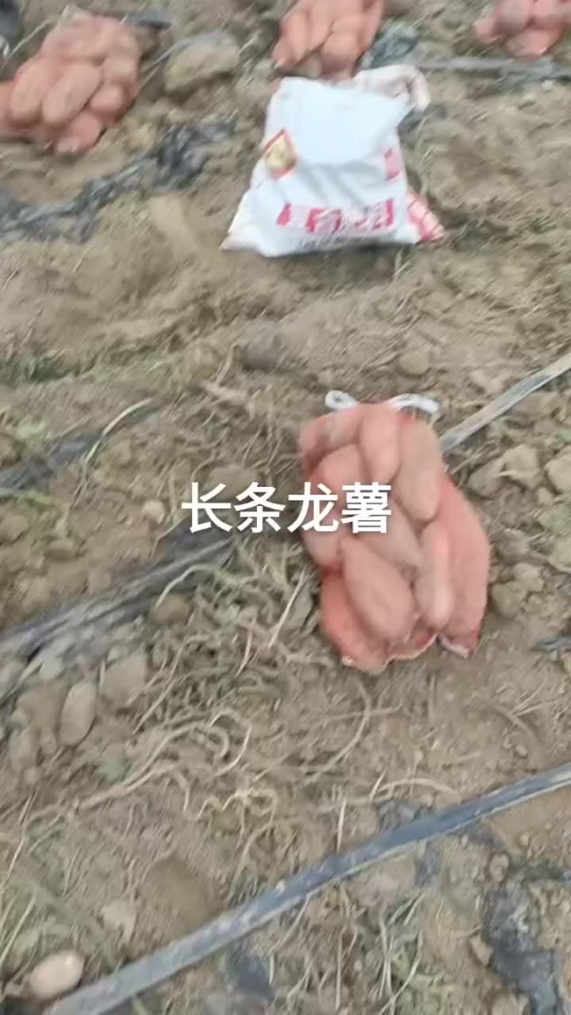 山东省夏津县十五里铺赵吉良欢迎新老客户前来选购