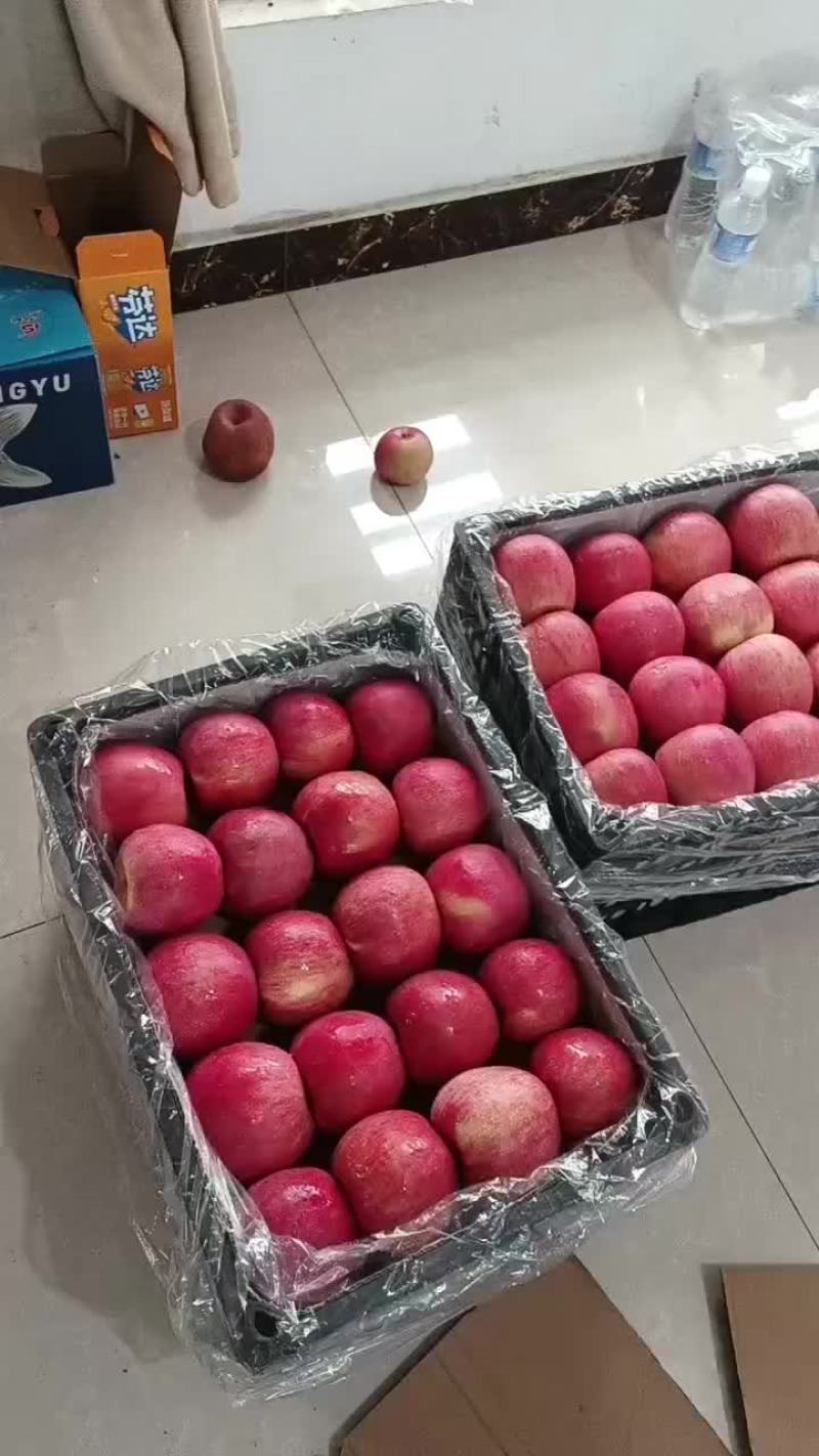 红富士苹果