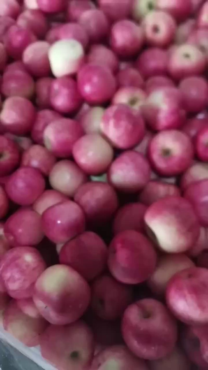 乔纳金苹果精品果大车小车都接待