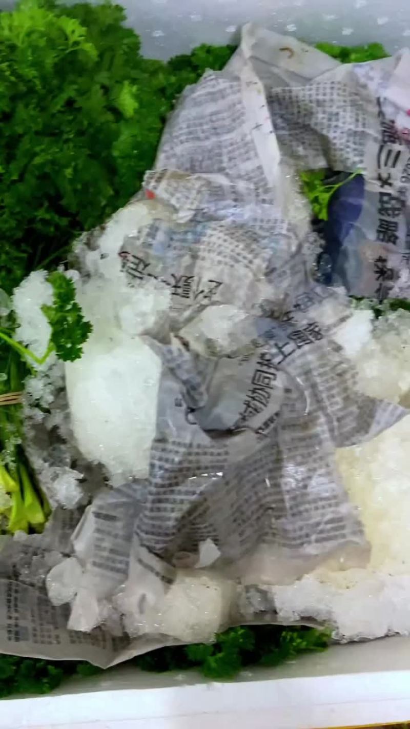 酒店摆盘方西