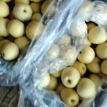纸袋王林平果大量出库价格二元三