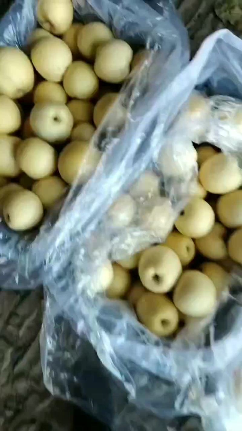 纸袋王林平果大量出库价格二元三