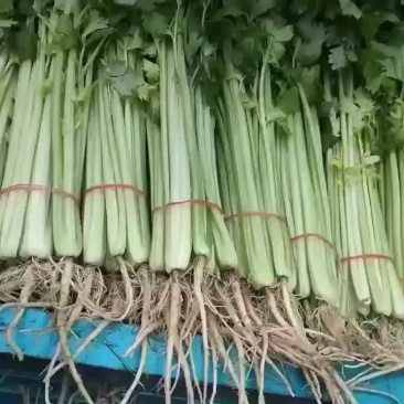 蔬菜代办