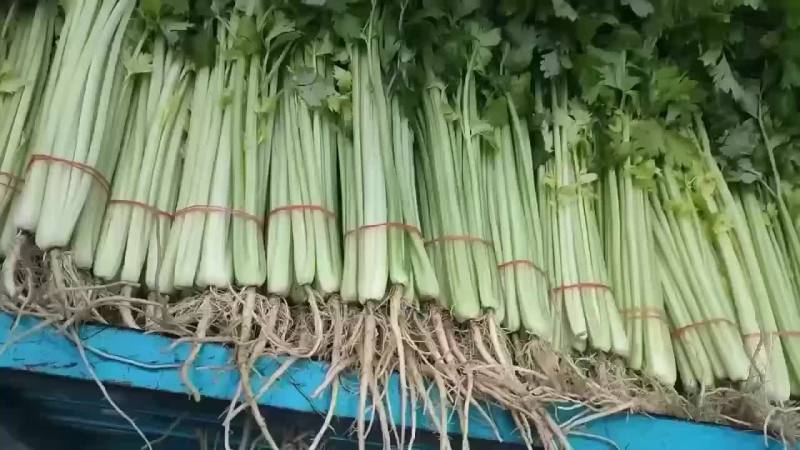 蔬菜代办