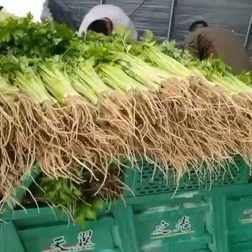 蔬菜代办