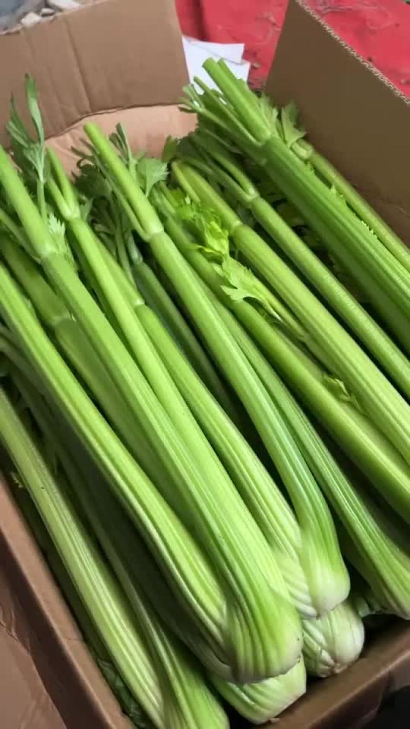 精品大棚西芹，芹菜