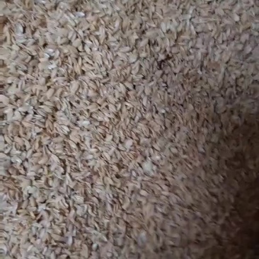 谷壳