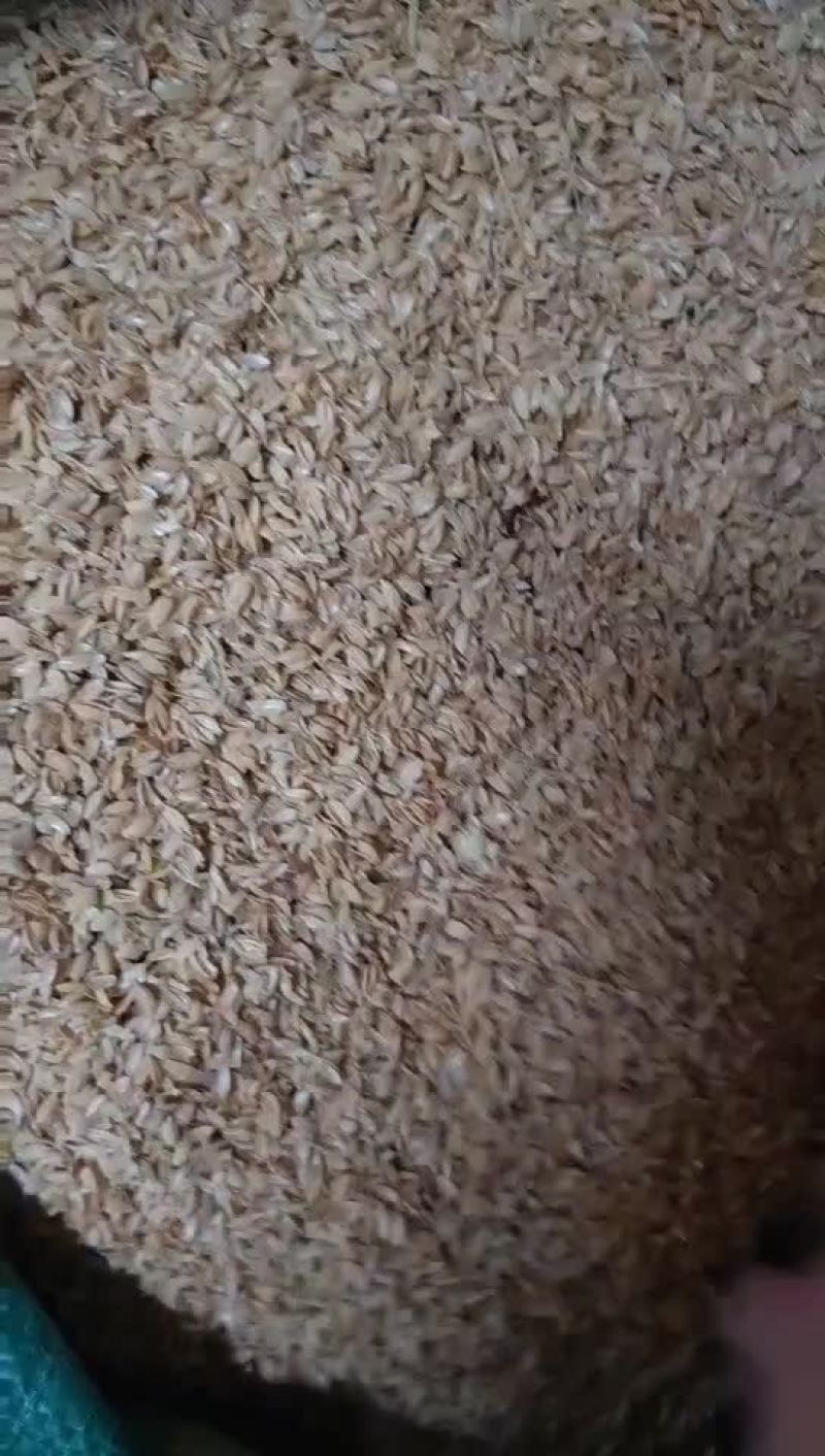 谷壳