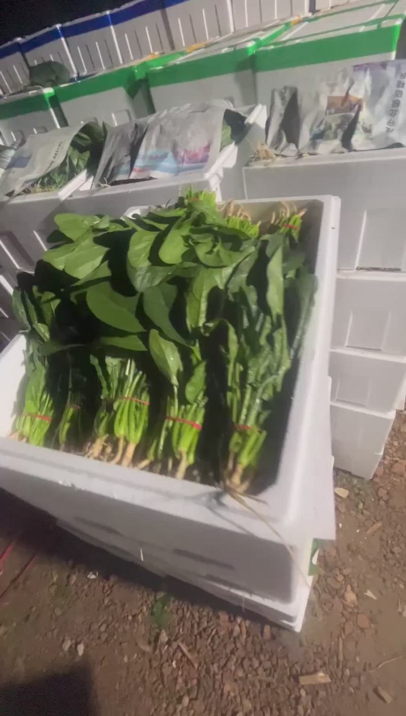 你要啥品质都有