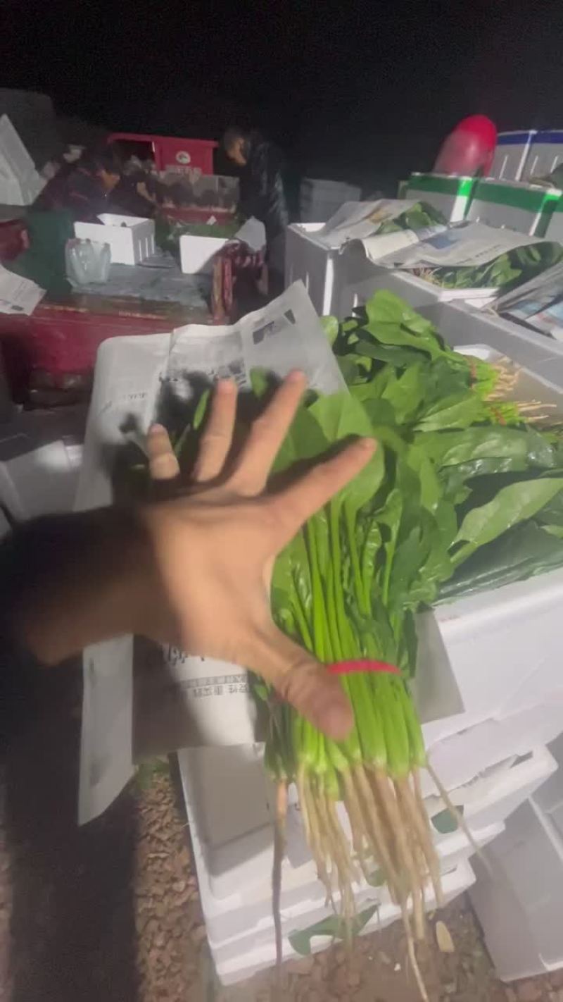 你要啥品质都有