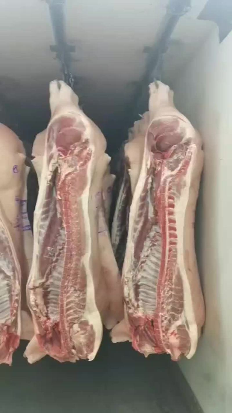 猪皮条产品