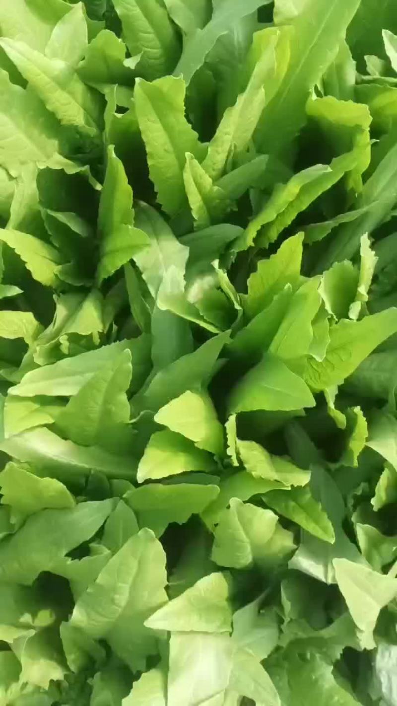 油麦