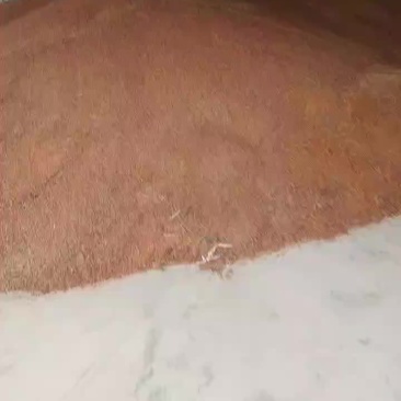 酿酒高梁