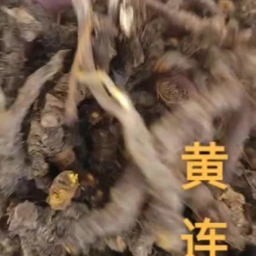 黄连【正品保证】【产地直销】