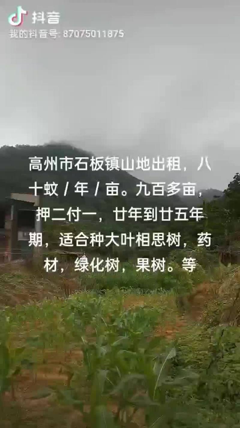 山地出租