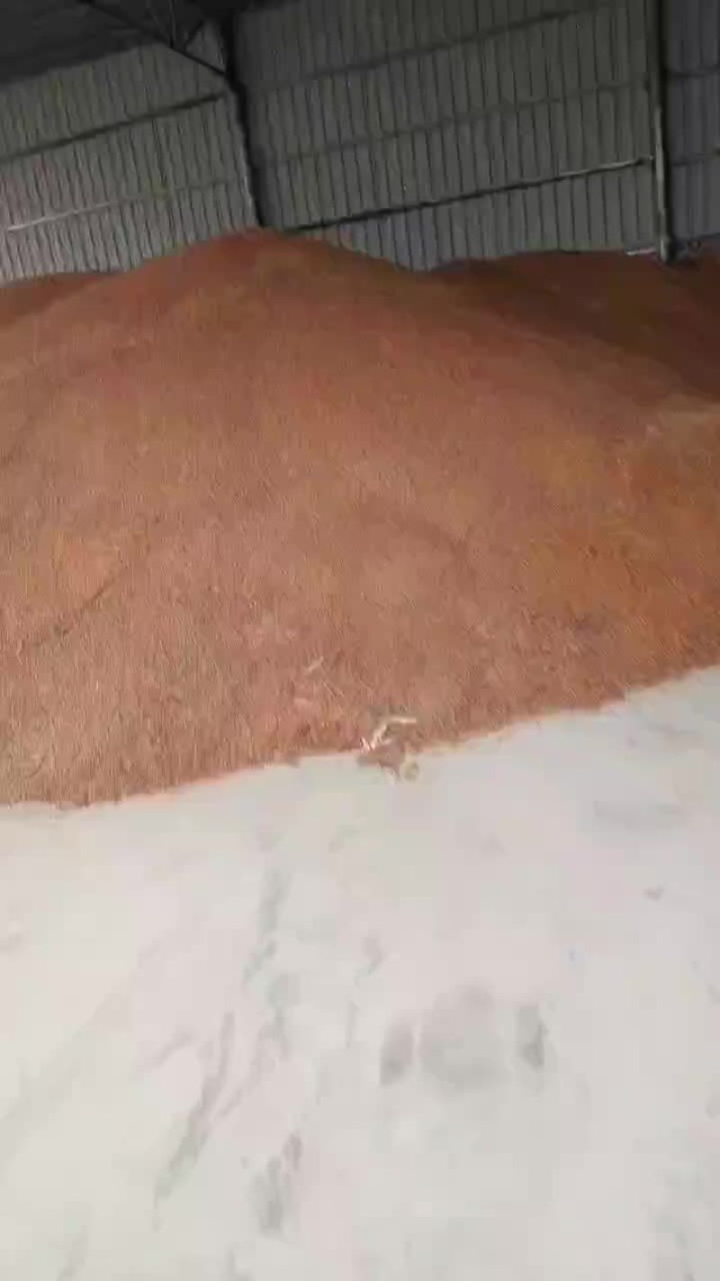 红高粱