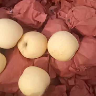 山东烟台市奶油富士原料小果冷库大量现货！