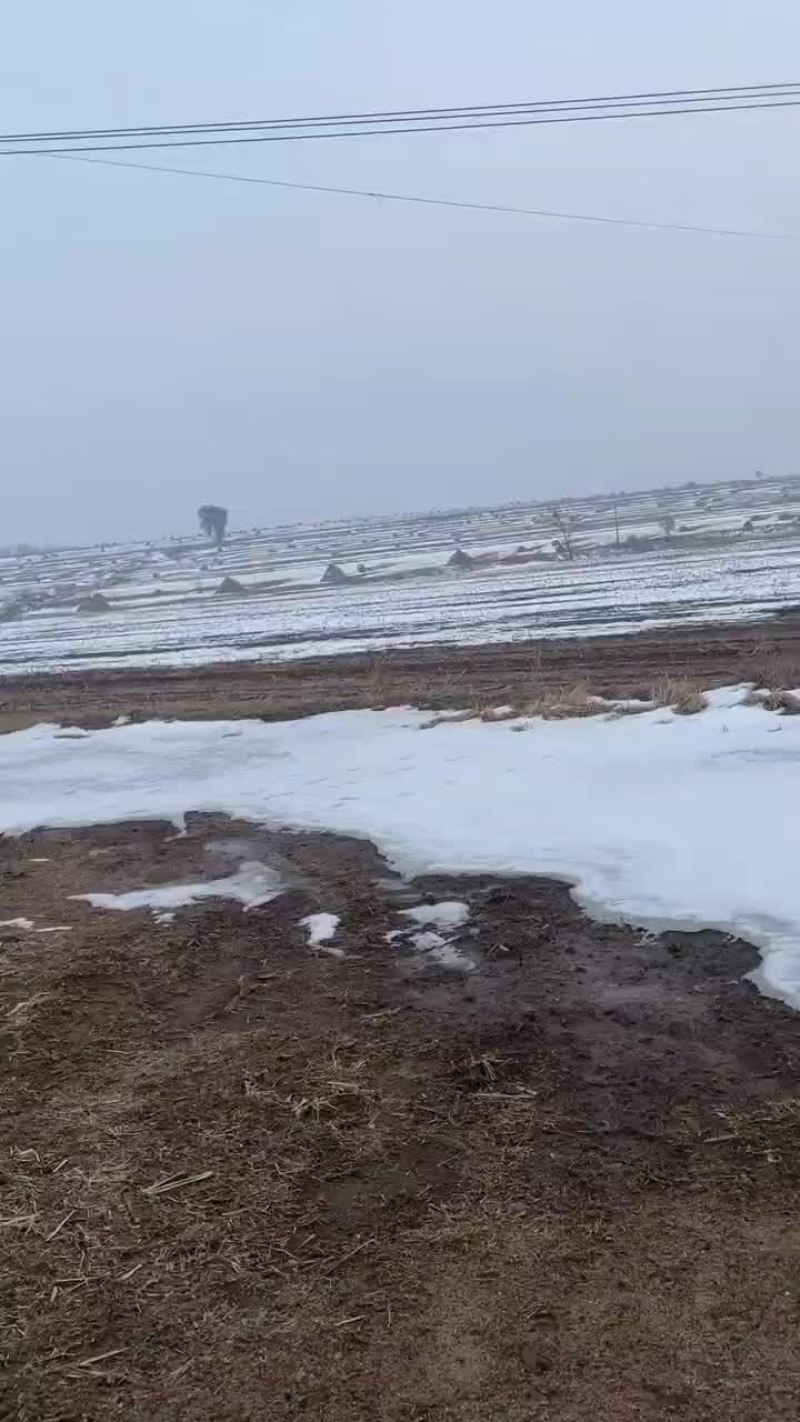 黑土地