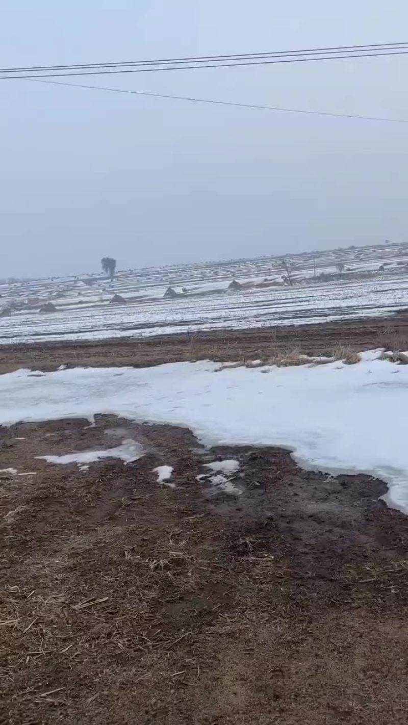 黑土地