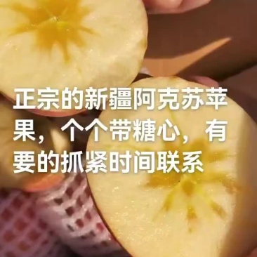 正宗新疆阿克苏苹果，大量有货，品质好，脆甜汁多，糖份足