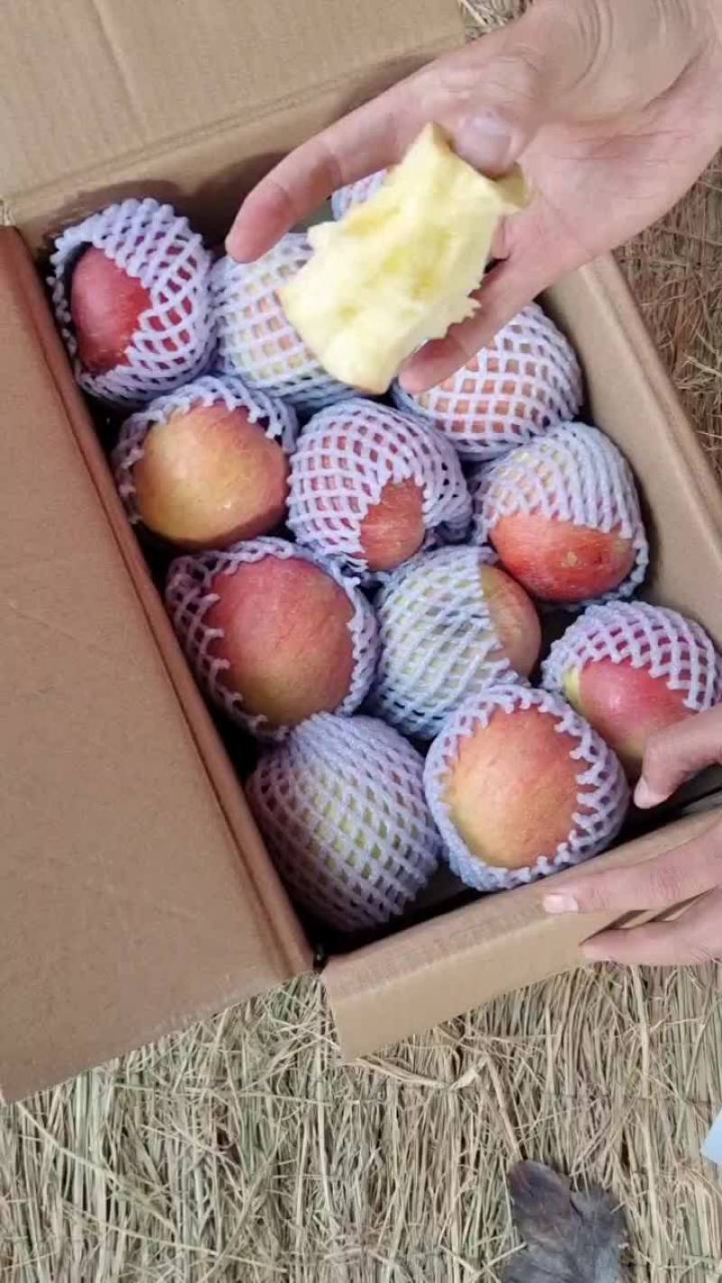 正宗新疆阿克苏苹果，大量有货，品质好，脆甜汁多，糖份足