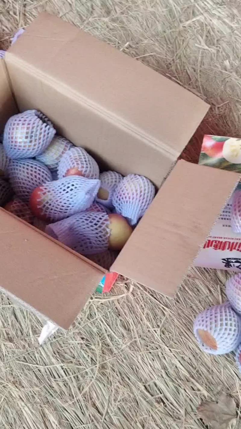 正宗新疆阿克苏苹果，大量有货，品质好，脆甜汁多，糖份足