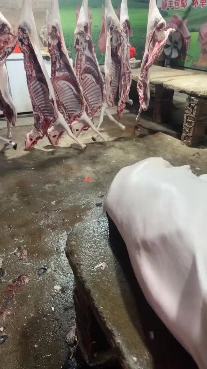 黑山羊