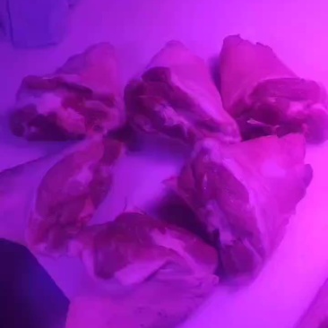前肘子美太太