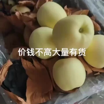 黄元帅