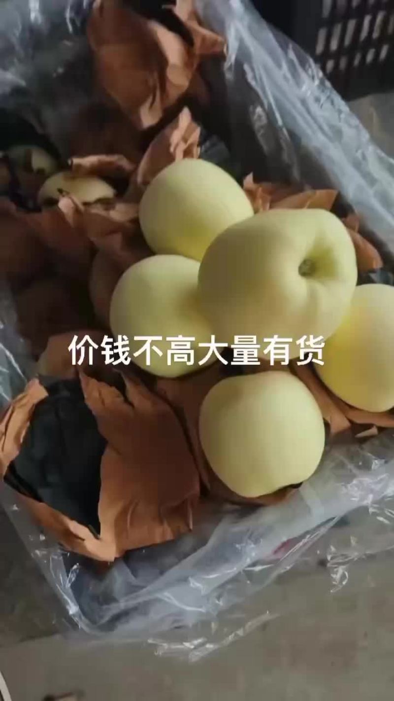 黄元帅