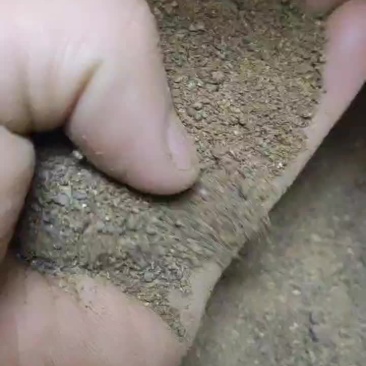 鸡素粉
