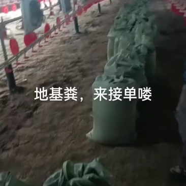 大量地基粪