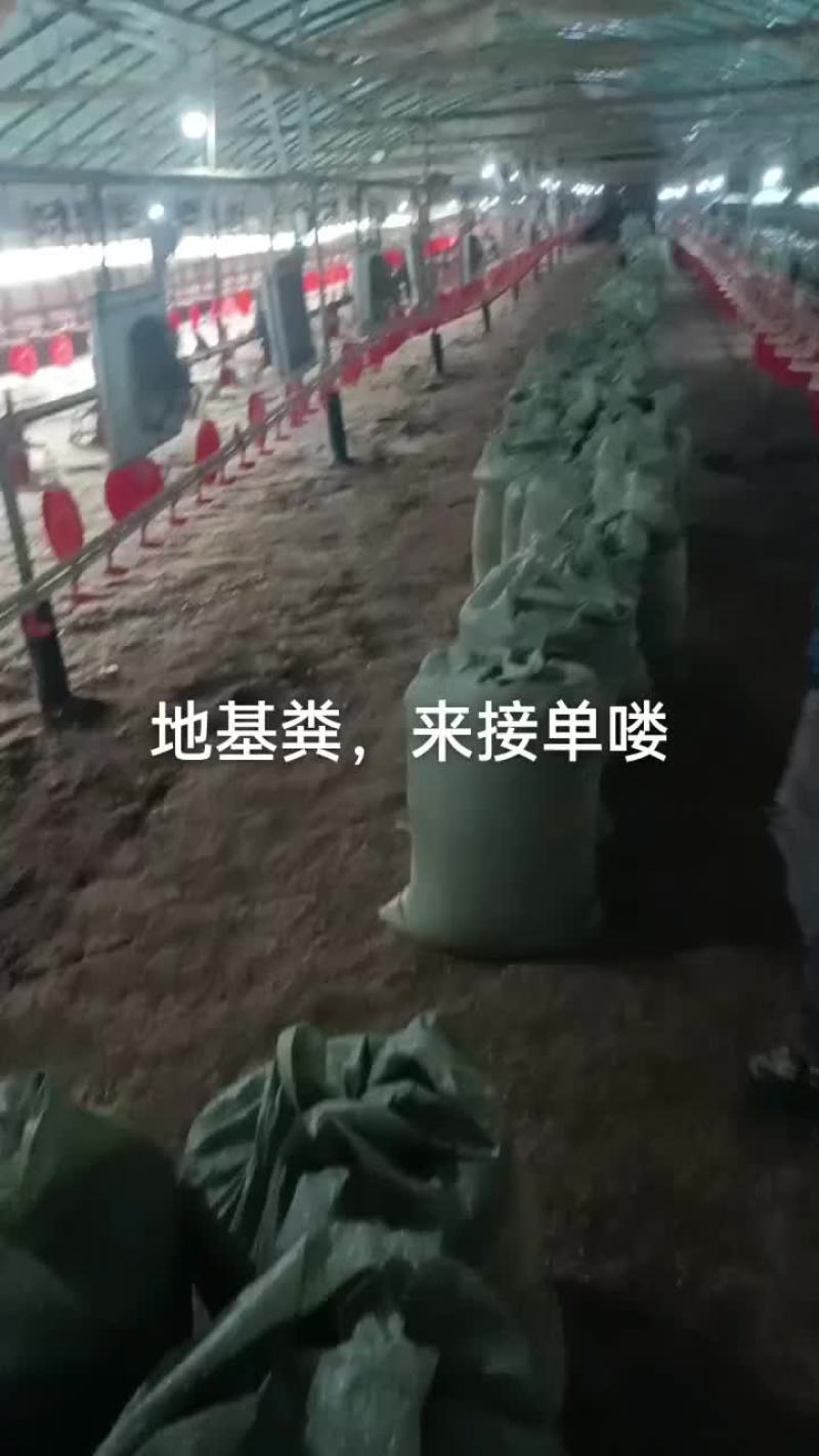 大量地基粪