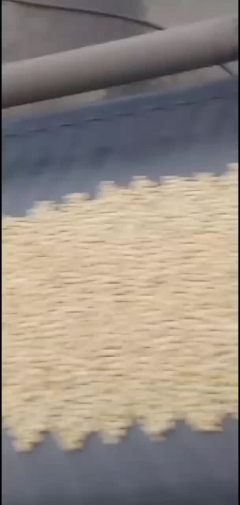 东北大豆黄豆大米