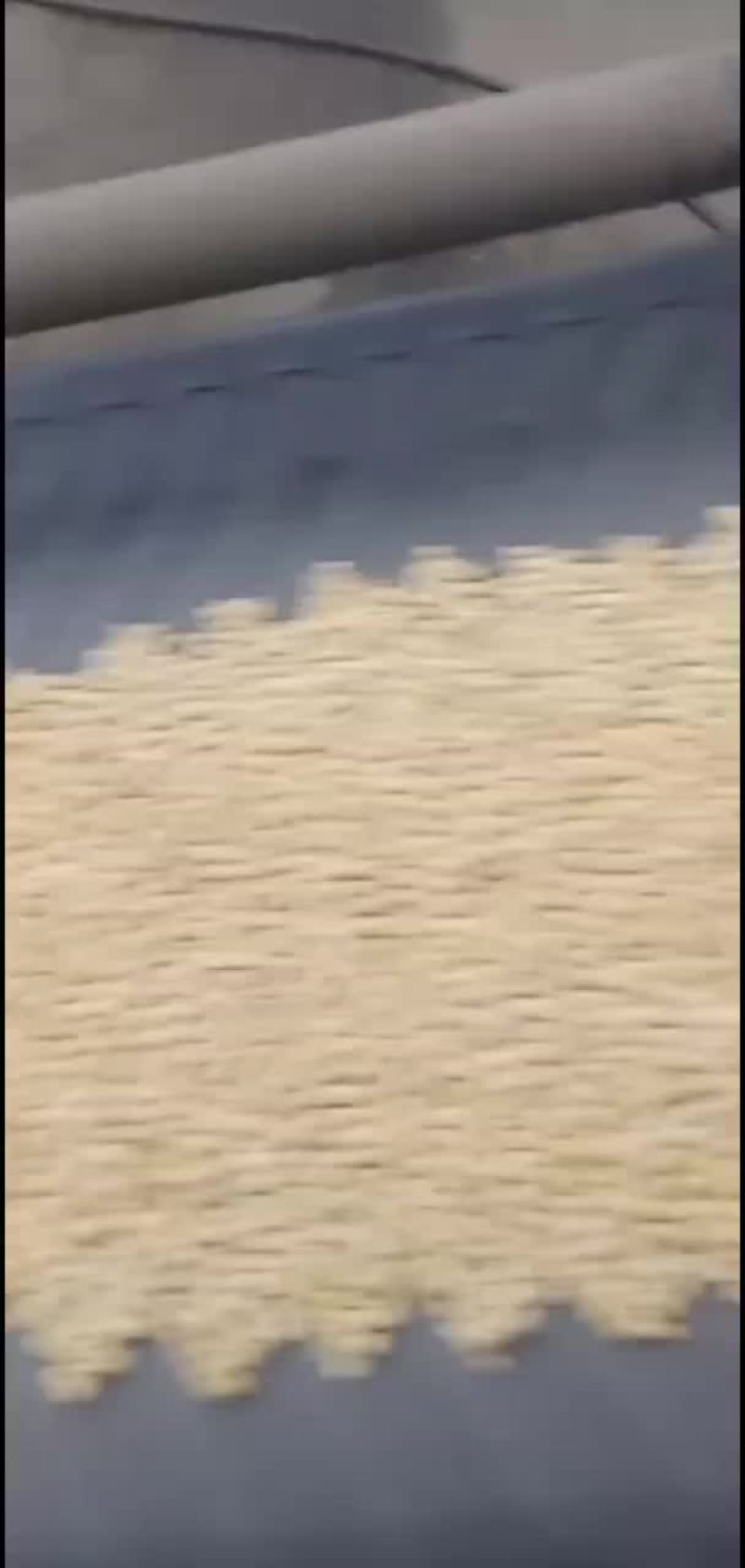 东北大豆黄豆大米