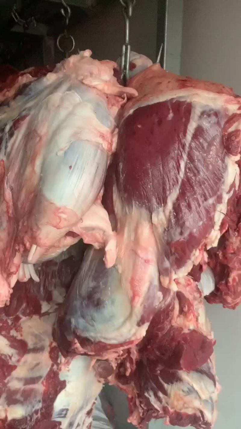 熟牛肉国产，酱牛肉，红烧牛肉，卤牛肉，都可以做价格不贵