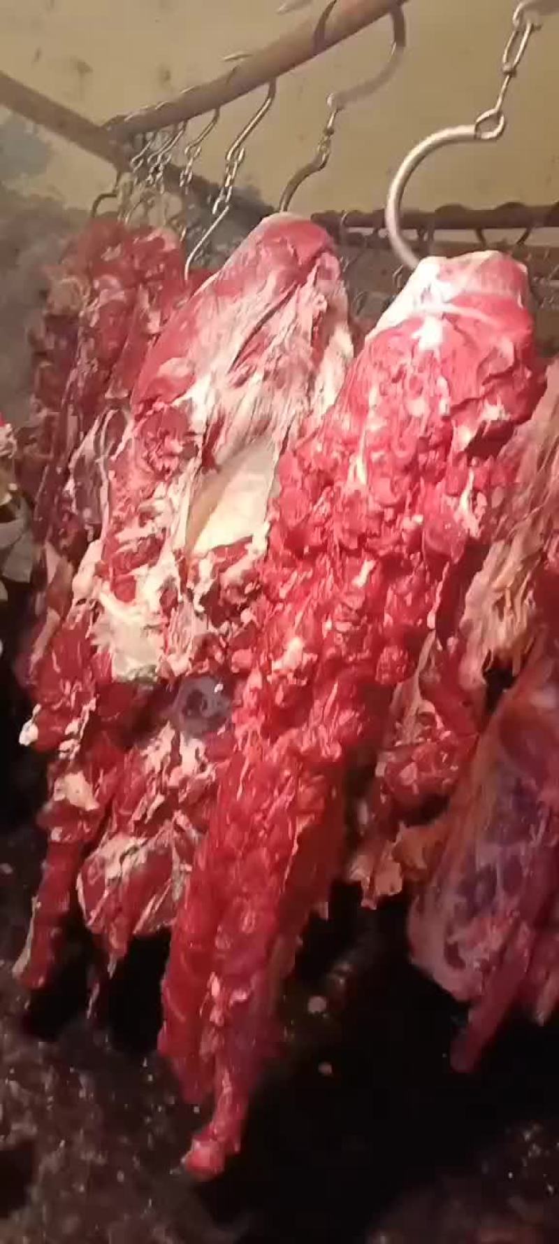 熟牛肉国产，酱牛肉，红烧牛肉，卤牛肉，都可以做价格不贵