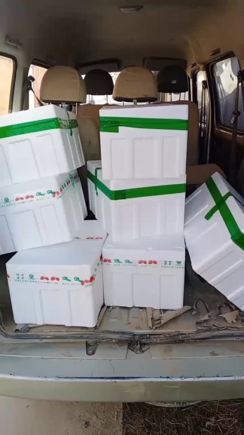 一级园椒