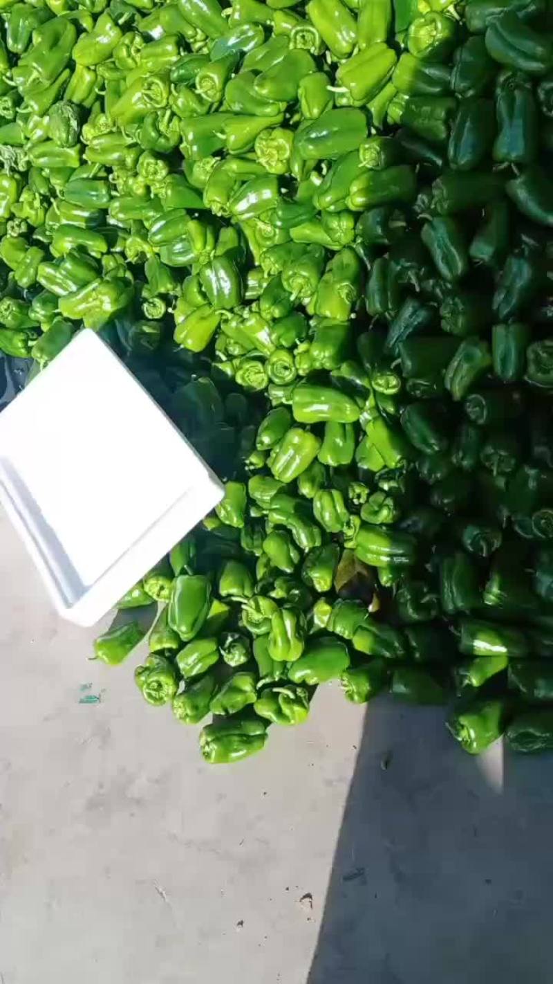 一级园椒