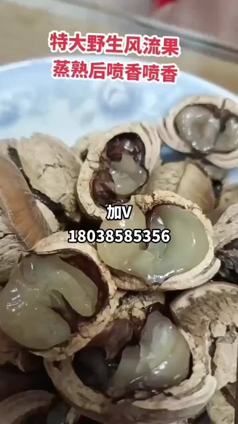 野生风流果