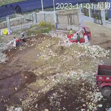 平菇废料，有机肥原料